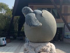 -广东惠东海龟国家级自然保护区