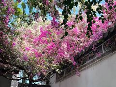 -深圳国际园林花卉博览园