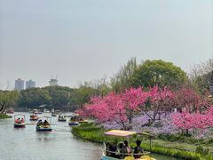 -圩墩遗址公园