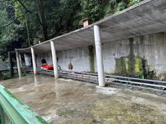 -藏龙百瀑风景区