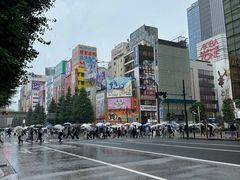 -秋叶原电器街
