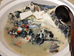 -老傅家湘潭水煮活鱼店(众一国际店)