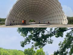 -上海吴淞炮台湾国家湿地公园