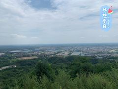 -老号尤兔头(幸福店)