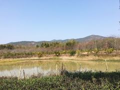 -天适樱花悠乐园