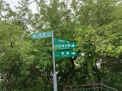 -紫金山山顶公园