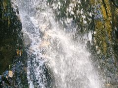 -红山村