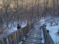 -帽儿山国家森林公园