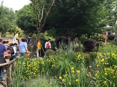 -武汉紫薇都市田园