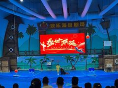 -石家庄极地海洋世界
