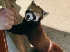 -云南野生动物园
