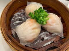 -新成海港大酒楼(康华路店)