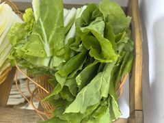 小白菜-炊大牛饭店(寻甸总店)