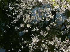 -杭州植物园
