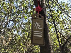 -攀枝花公园