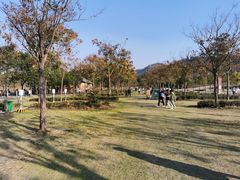 -黄陂区野村谷景区