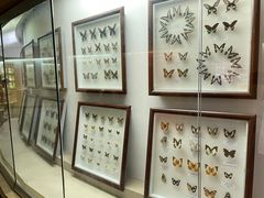 -陕西自然博物馆