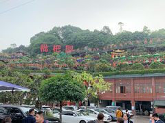 -枇杷园食为鲜火锅(南山店)