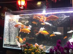 -老宅子私房菜馆(大理古城店)