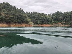 -酒仙湖景区