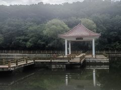 -吉林市朱雀山国家森林公园