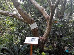 -广西壮族自治区药用植物园