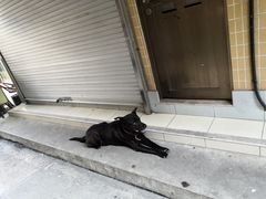 -大澳渔村及棚屋