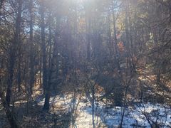 -帽儿山国家森林公园