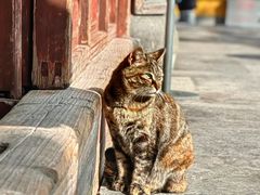 -龙华寺