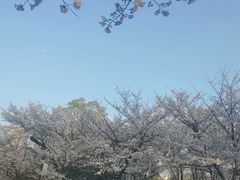 -堤角公园