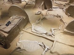 -洛阳周王城天子驾六博物馆