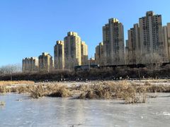 -前关湿地公园
