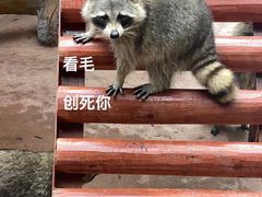 -杭州野生动物世界