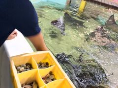 -台州海洋世界