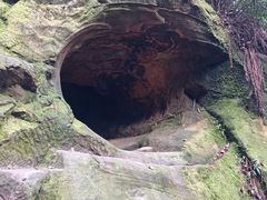 -缙云山景区
