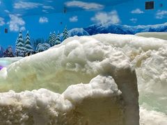 -世界之窗阿尔卑斯冰雪世界