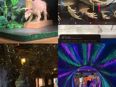 -正佳自然科学博物馆