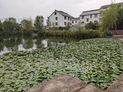 -东梓关景区村庄