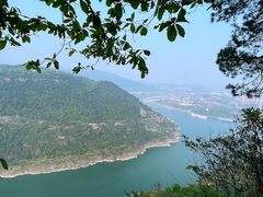 -铁山坪森林公园