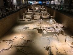 -洛阳周王城天子驾六博物馆