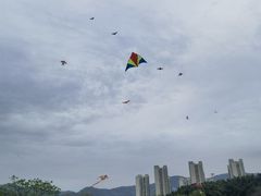 -牛岗山公园