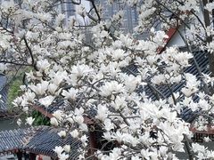 -堤角公园