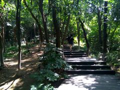-天目湖山水园