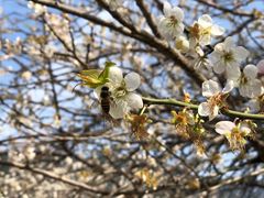 -广州市流溪河国家森林公园