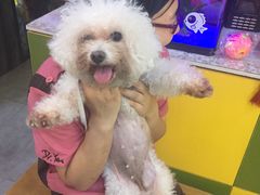 -严国平动物医院(德政总院)