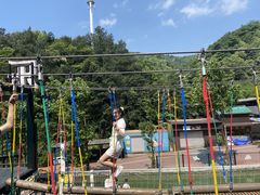 -梦幻奥陶纪景区