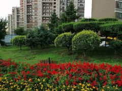 -保利·罗兰香谷