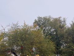 -俄罗斯风情小镇
