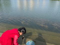 -桃花岛公园