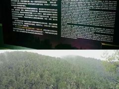 -普达措国家公园
